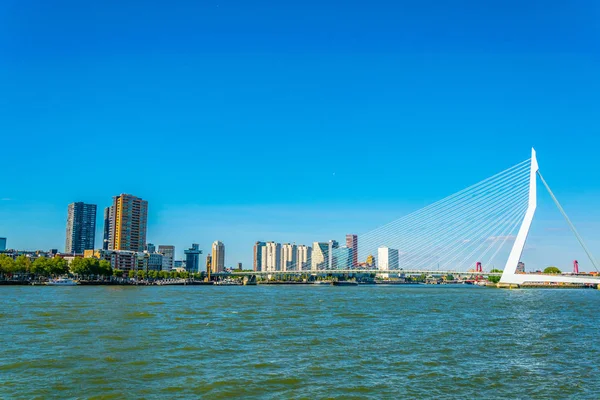 Rotterdam, Hollanda'da gökdelenler ve Erasmus köprüsü — Stok fotoğraf
