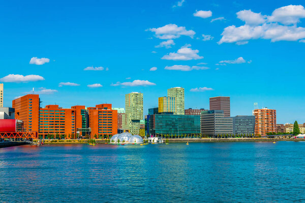 Skyline of Rotterdam with skyscrapers and the floating pavilion,