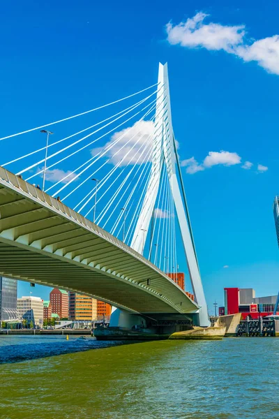 Erasmus Bridge Rotterdam, Hollanda — Stok fotoğraf