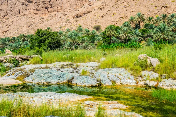 Umman'daki Wadi Tiwi, turqoise suyu, kıyılarında yetişen yemyeşil palmiyeler ve dik yamaçları olan derin bir geçiti birleştiren bir doğa harikasıdır..
