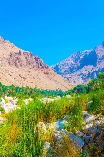 Wadi Tiwi i Oman är en naturlig underverk som kombinerar ström av turkos vatten, frodiga palmer som växer på sin strand och en djup klyfta med branta sluttningar. — Stockfoto