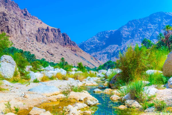 Wadi Tiwi en Omán es una maravilla natural que combina un arroyo de agua turquesa, palmeras exuberantes que crecen en su orilla y un profundo desfiladero con pendientes empinadas . — Foto de Stock