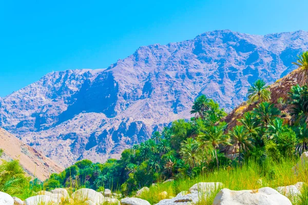 Wadi Tiwi en Omán es una maravilla natural que combina un arroyo de agua turquesa, palmeras exuberantes que crecen en su orilla y un profundo desfiladero con pendientes empinadas . — Foto de Stock