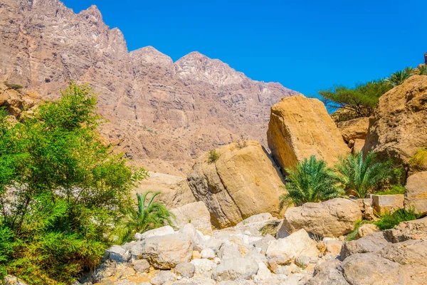 Wadi Tiwi in Oman is a natural wonder combining stream of turqoise water, lush palms growing on its shore and a deep gorge with steep slopes. — Stock Photo, Image