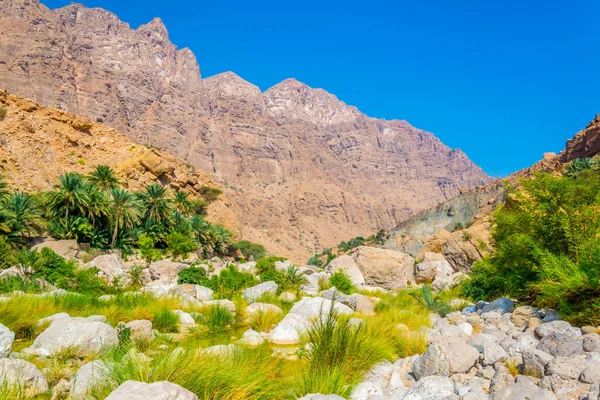 Wadi Tiwi em Omã é uma maravilha natural combinando fluxo de água turquesa, palmeiras exuberantes crescendo em sua costa e um desfiladeiro profundo com encostas íngremes . — Fotografia de Stock