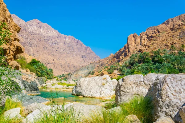 Wadi Tiwi em Omã é uma maravilha natural combinando fluxo de água turquesa, palmeiras exuberantes crescendo em sua costa e um desfiladeiro profundo com encostas íngremes . — Fotografia de Stock