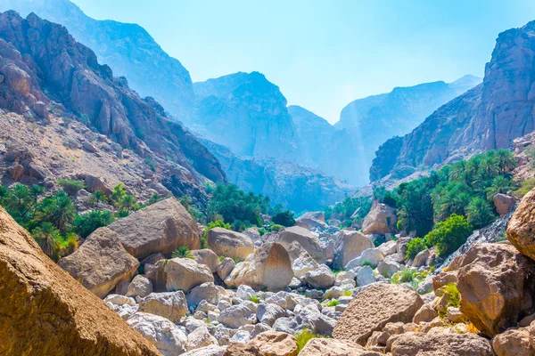 Wadi Tiwi in Oman is een natuurlijk wonder dat de stroom van turqoise-water combineert, weelderige palmen die aan de kust groeien en een diepe kloof met steile hellingen. — Stockfoto