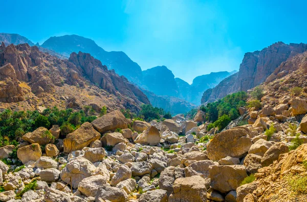 Wadi Tiwi in Oman is een natuurlijk wonder dat de stroom van turqoise-water combineert, weelderige palmen die aan de kust groeien en een diepe kloof met steile hellingen. — Stockfoto