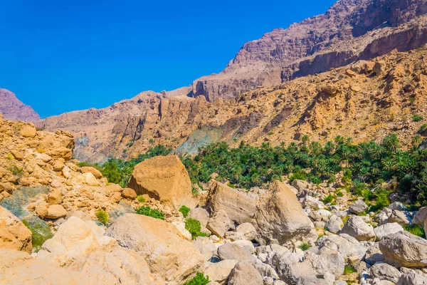 Wádí Tiwi v Ománu je přírodní div spojující potok s tyrksovou vodou, bujnou palmami rostoucí na jeho břehu a hlubokou soutěsku s příkrými svahy. — Stock fotografie