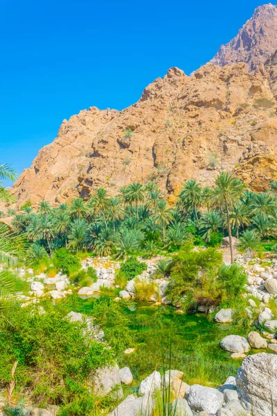 Wadi Tiwi en Omán es una maravilla natural que combina un arroyo de agua turquesa, palmeras exuberantes que crecen en su orilla y un profundo desfiladero con pendientes empinadas . — Foto de Stock