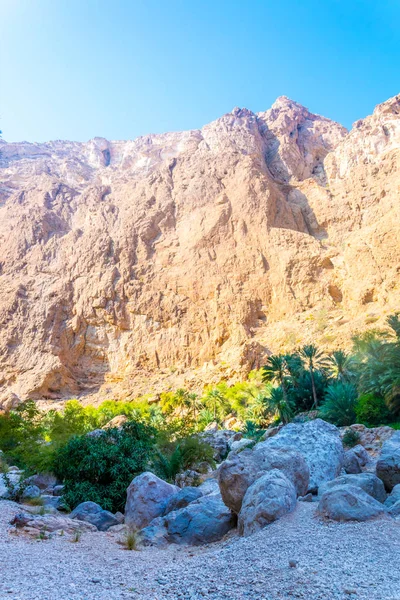 Wadi Shab em Omã é um lugar popular para os visitantes que querem nadar livremente em um oásis remoto . — Fotografia de Stock