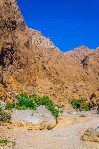오만의 와디 샤브 (Wadi Shab)는 외딴 오아시스에서 자유롭게 수영을하고 싶은 방문객들에게 인기있는 장소입니다.. — 스톡 사진