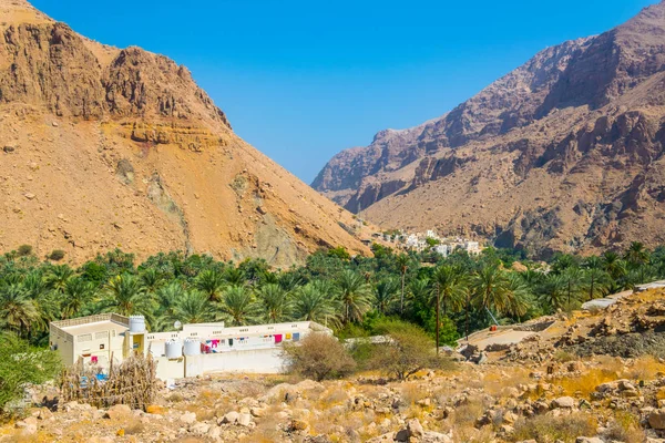 Aerial view of a village surrounded by a palm forest in the Wadi Tiwi in Oman.