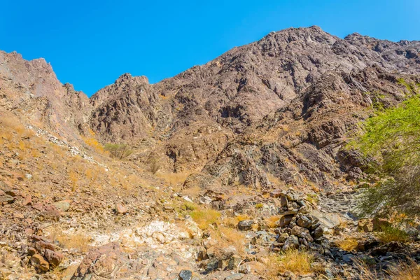 Natur i Oman som omger den berömda C38 vandringsleden i Muttrah, Muscat, Oman. — Stockfoto