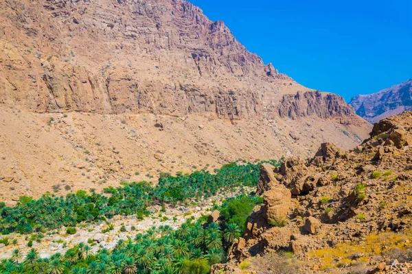 Palmas na tiwi wadi com um penhasco íngreme no fundo em Omã . — Fotografia de Stock