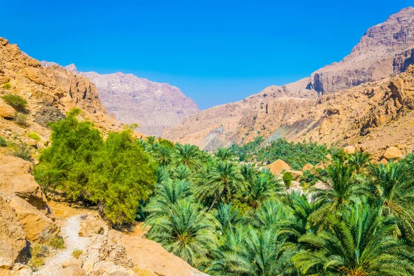 Palmeras en el wadi tiwi con un acantilado empinado en el fondo en Omán . — Foto de Stock