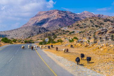Umman'daki Hacer dağlarında Jebel Şems'e giden bir yolun görünümü.