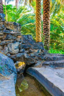 Umman Misfat al abriyeen köyünde tipik falaj sulama sistemi ile bir vaha görünümü.