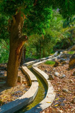 Umman Wadi Tiwi tipik falaj sulama sistemi ile bir vaha görünümü.