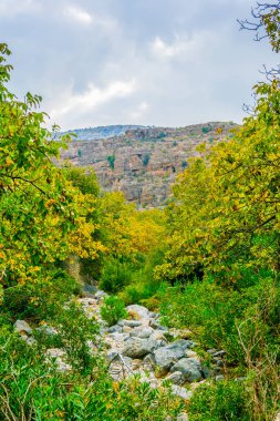 Umman'daki Jebel Akhdar Dağı'nda Wadi Bani Habib'in görünümü.