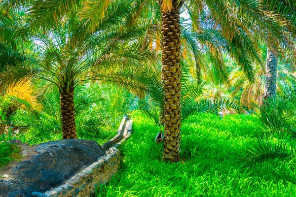 Вид на Оазис з типовою системою поливу Falaj в селі Місжиру Аль-абрієен в Омані. — стокове фото