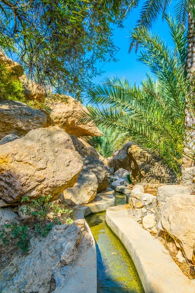 Вид на оазис с типичной системой орошения фаладж в Вади Тиви в Омане . — стоковое фото