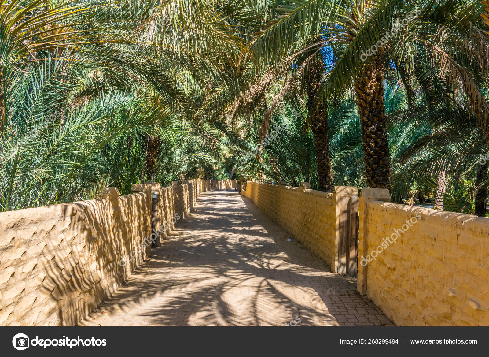 View Of The Unesco Enlisted Oasis In Al Ain Uae Stock Editorial Photo C Dudlajzov