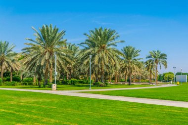 Al Jahli Park içinde Al Ain, Birleşik Arap Emirlikleri