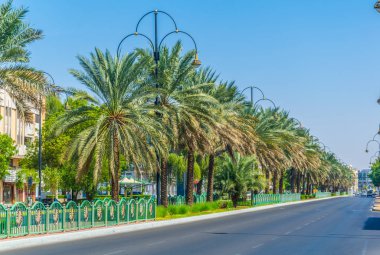 Al Ain, Bae bir caddenin ortasında Yeşil sokak
