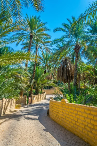 Utsikt över UNESCO-listade Oasis i Al Ain, UAE — Stockfoto