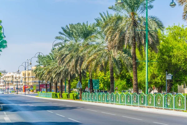 Beco verde no meio de uma rua em Al Ain, EAU — Fotografia de Stock