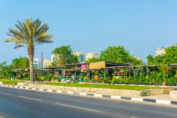 Vista de um mercado de flores em Sharjah, Emirados Árabes Unidos — Fotografia de Stock
