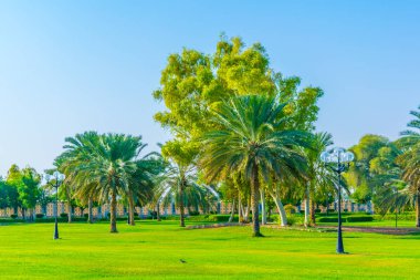 Gün batımını izleyen yerel aileler için popüler bir nokta olan Hili arkeoloji parkının manzarası