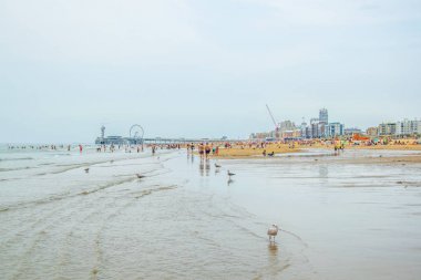 Lahey, Hollanda, 7 Ağustos 2018: Sche'deki iskelenin görünümü