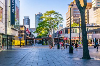 Rotterdam, Hollanda, 5 Ağustos 2018: Bir alışveriş ağacının görünümü