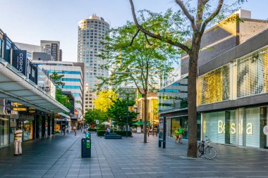 Rotterdam, Hollanda, 5 Ağustos 2018: Bir alışveriş ağacının görünümü