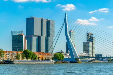Rotterdam, Hollanda, 5 Ağustos 2018: Gökdelenler ve Erasmus 