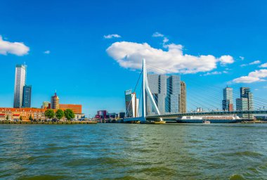 Rotterdam, Hollanda, 5 Ağustos 2018: Gökdelenler ve Erasmus 