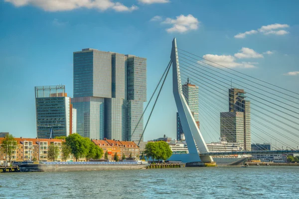 ROTTERDAM, PAÍSES BAJOS, 5 de agosto de 2018: Rascacielos y Erasmus —  Fotos de Stock