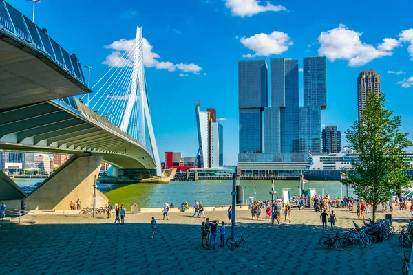 ROTTERDAM, NETHERLANDS, AUGUST 5, 2018: Skyscrapers and Erasmus — Stock Photo, Image