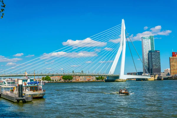 Rotterdam, Hollanda, 5 Ağustos 2018: Gökdelenler ve Erasmus — Stok fotoğraf