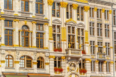 Brüksel'de Grote Markt'ta yer alan evlerin renkli cepheleri, 