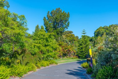 Melbourne, Avustralya 'daki Kraliyet Botanik Bahçesi
