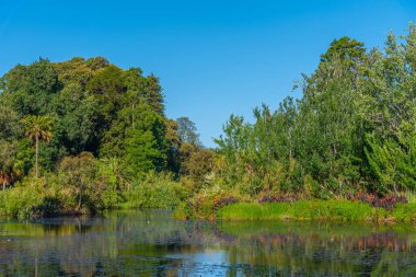 Melbourne, Avustralya 'daki yapay Kraliyet Botanik Bahçesi