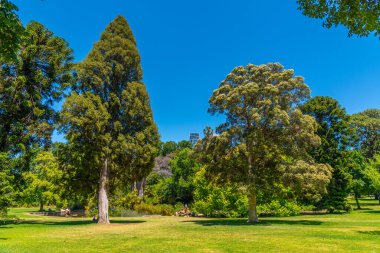 Melbourne, Avustralya 'daki Fitzroy bahçeleri
