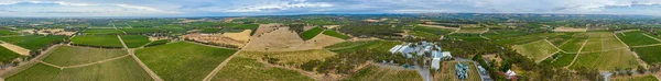 Vista Aérea Viñedos Mclaren Vale Australi —  Fotos de Stock