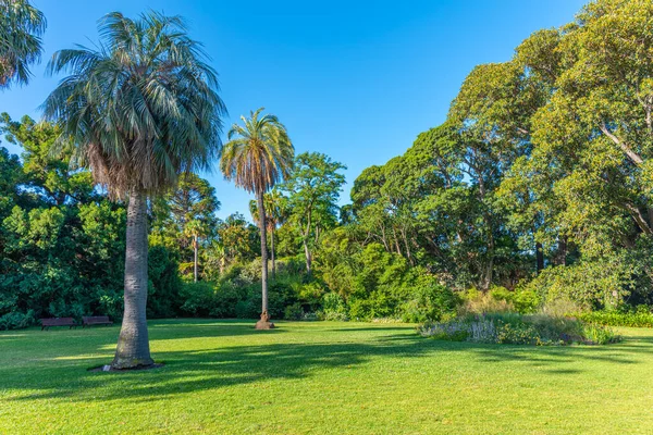 Królewski Ogród Botaniczny Melbourne Australia — Zdjęcie stockowe