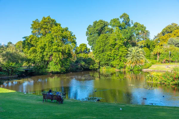 Sztuczny Staw Królewski Ogród Botaniczny Melbourne Australia — Zdjęcie stockowe