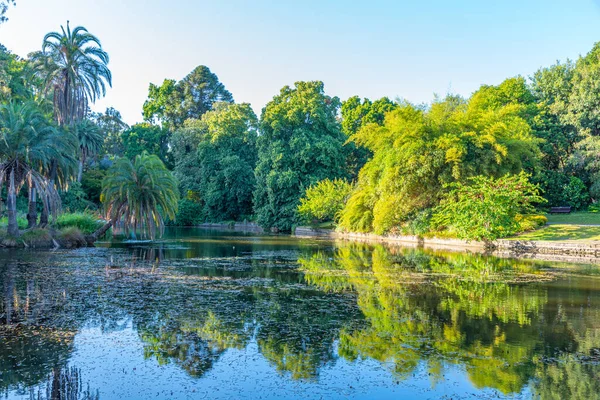 Sztuczny Staw Królewski Ogród Botaniczny Melbourne Australia — Zdjęcie stockowe
