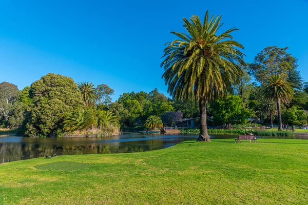 Sztuczny Staw Królewski Ogród Botaniczny Melbourne Australia — Zdjęcie stockowe